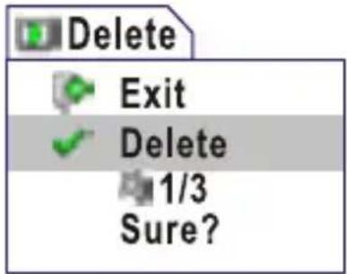 Delete Exit Delete 1/3 Sure?