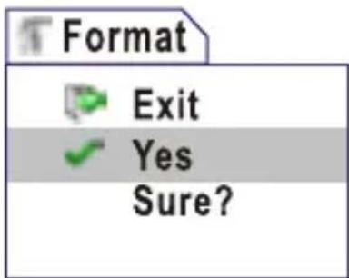 Format Exit Yes Sure?