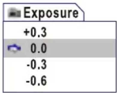 Exposure +0.3 0.0 -0.3 -0.6