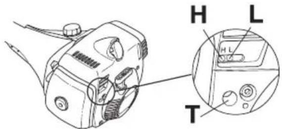 H L T