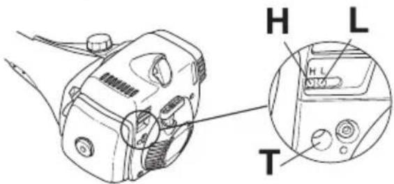 H L T