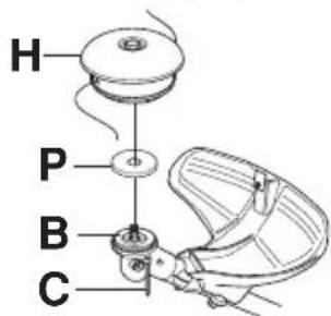 H P B C