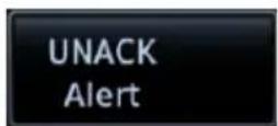 GARMIN EIS TXi - ACK Alert UNACK Alert - 2
