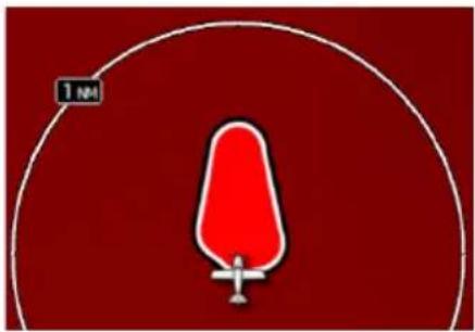 1 nm