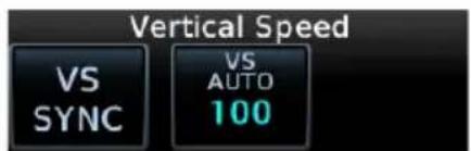 Vertical Speed VS SYNC VS AUTO 100