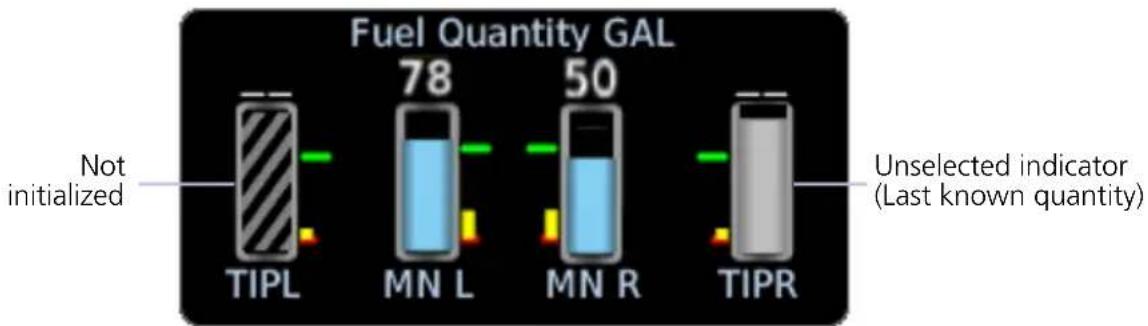 GARMIN EIS TXi - Selectable Fuel Gauges - 1