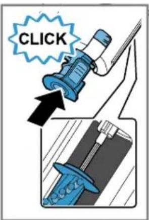 CLICK