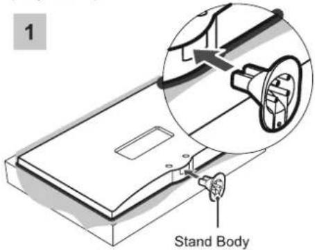 1 Stand Body