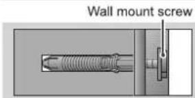 Wall mount screw