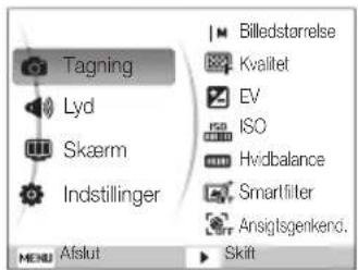 SAMSUNG ST94 - Eksempel: Vælg en indstilling for hvidbalance i tilstanden P - 2