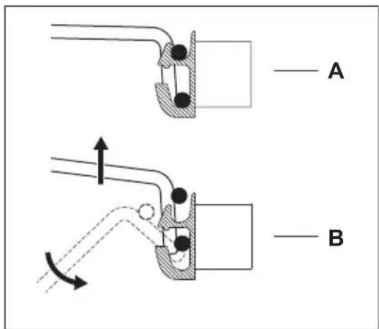 A B
