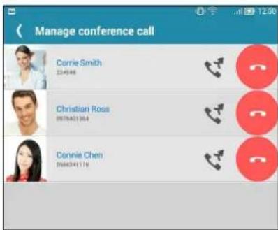 Manage conference call Corrie Smith 234548 Christian Rosa 0576401364 Connie Chen 0588241176