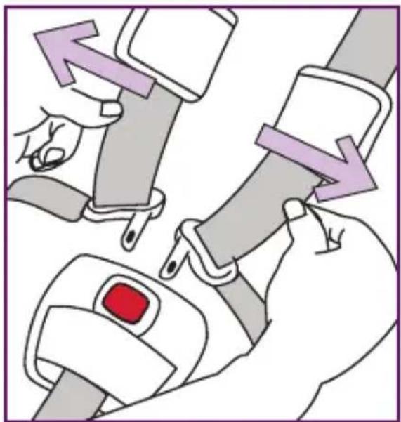 Nuna Pipa Klik - Securing Child in the Restraint - 2