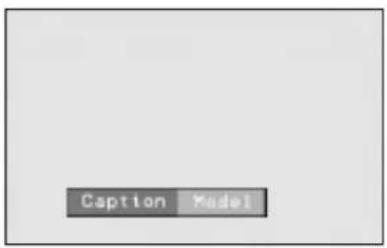 Caption Model