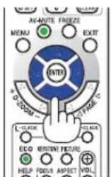 NEC NP-ME301X - Press the D-ZOOM (+) button to magnify the picture. - 3