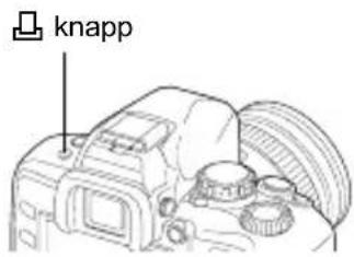 knapp