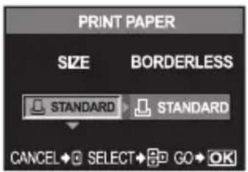 PRINT PAPER SIZE BORDERLESS STANDARD STANDARD CANCEL SELECT GO OK