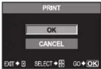 PRINT OK CANCEL EXIT ⚪ SELECT ⚫ GO ⚪ OK