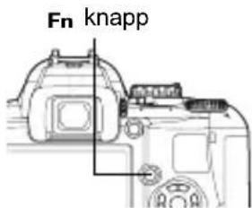 Fn knapp