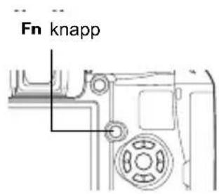 Fn knapp