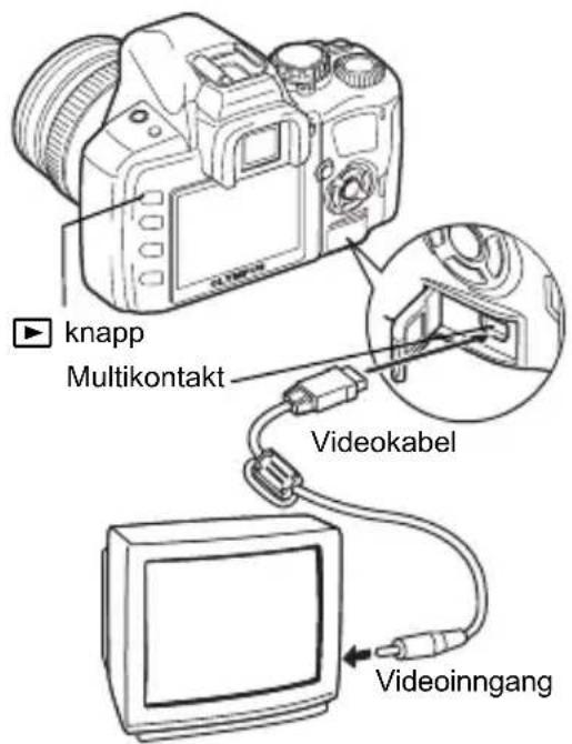 knapp Multikontakt Videokabel Videoinngang