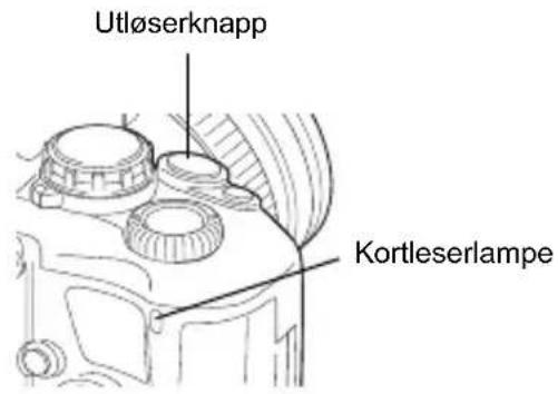 Utløserknapp Kortleserlampe
