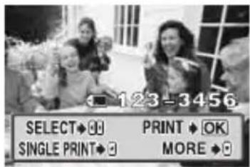 123-3456 SELECT♦○○ PRINT♦OK SINGLE PRINT♦○ MORE♦○