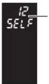 12 SELF