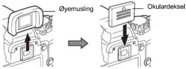 Øyemusling Okulardeksel