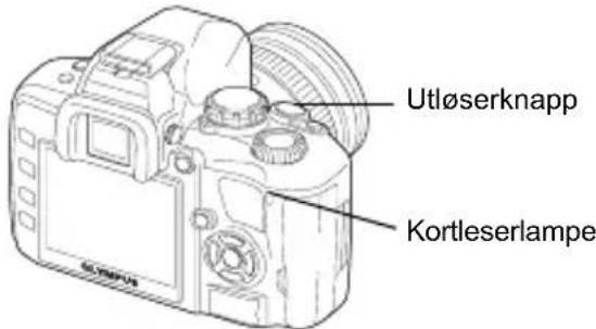 Utløserknapp Kortleserlampe