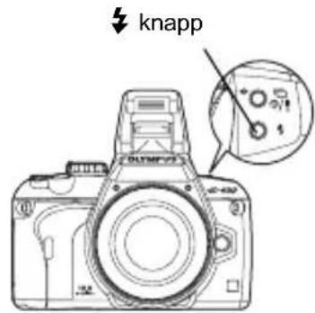 knapp