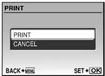 PRINT PRINT CANCEL BACK • MENU SET • OK