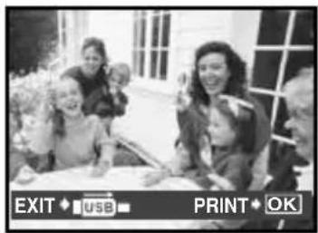 EXIT • USB • PRINT • OK