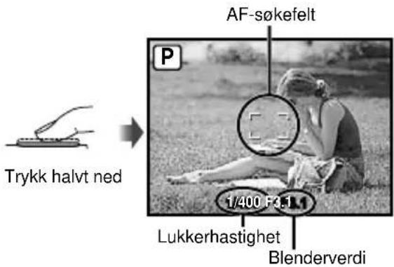 Trykk halvt ned AF-søkefelt P 1/400 F:1 Lukkerhastighet Blenderverdi