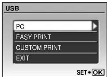 USB PC EASY PRINT CUSTOM PRINT EXIT SET• OK