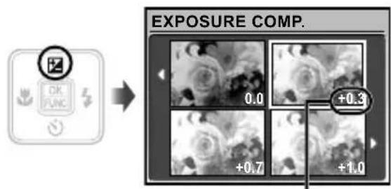 EXPOSURE COMP. 0.0 +0.3 +0.7 +1.0