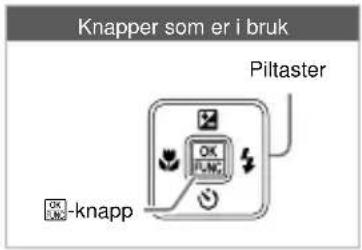 Knapper som er i bruk Piltaster OK FL-M2 -knapp
