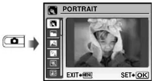 PORTRAIT EXIT MENU SET OK