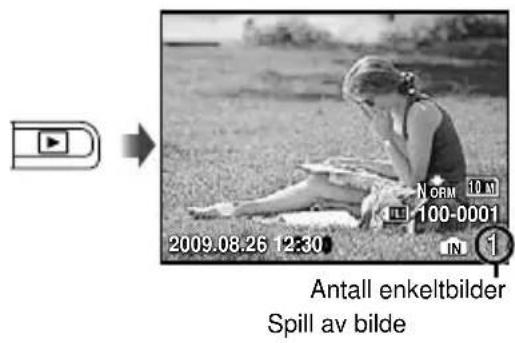 2009.08.26 12:30 NORM 10 M 100-0001 IN Antall enkeltbilder Spill av bilde