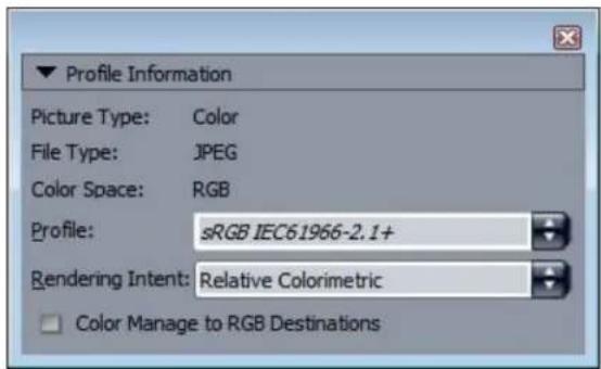 Profile Information Picture Type: Color File Type: JPEG Color Space: RGB Profile: sRGB IEC61966-2.1+ Rendering Intent: Relative Colorimetric Color Manage to RGB Destinations