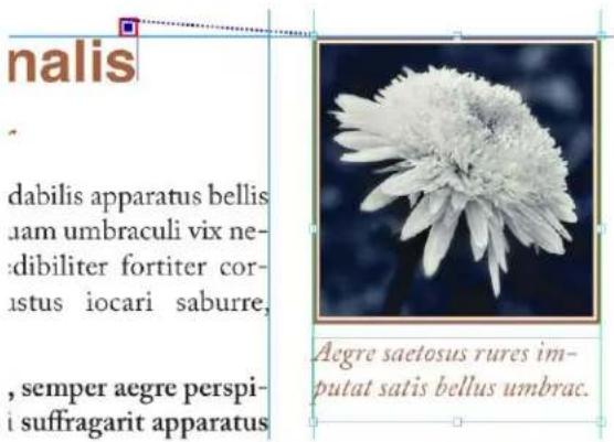 nalis dabilis apparatus bellis uam umbraculi vix ne- dibiliter fortiter cor- ustus iocari saburre, , semper aegre perspi- i suffragarit apparatus Aegre saetosus rures im- putat satis bellus umbrac.