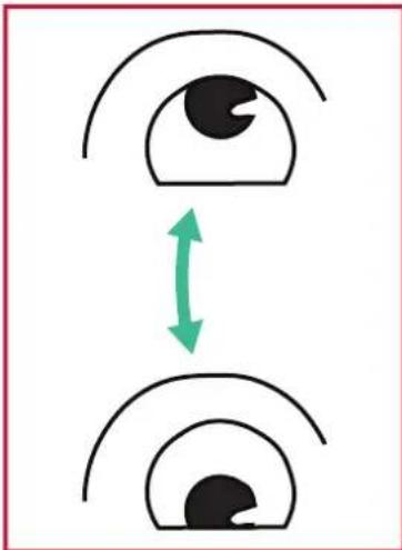 VIEWSONIC IFP7550-M2 - Eye Exercises - 1