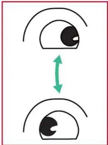 VIEWSONIC IFP7550-M2 - Eye Exercises - 2