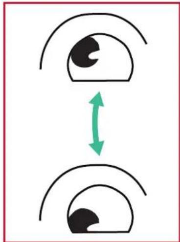 VIEWSONIC IFP7550-M2 - Eye Exercises - 3