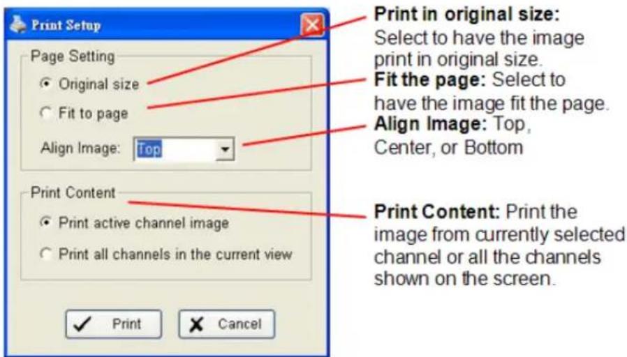 Print Setup Page Setting ● Original size ○ Fit to page Align Image: Top Print Content ● Print active channel image ○ Print all channels in the current view ✓ Print Cancel Print in original size: Select to have the image print in original size. Fit the page: Select to have the image fit the page. Align Image: Top, Center, or Bottom Print Content: Print the image from currently selected channel or all the channels shown on the screen.