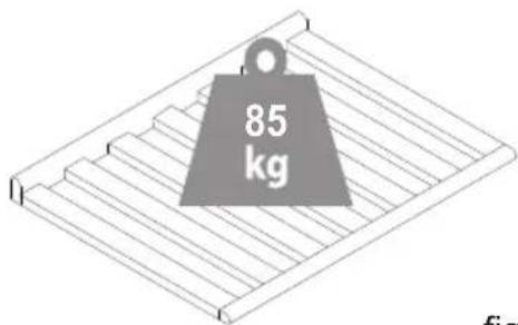 85 kg