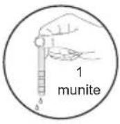 GRAM OM 6640-90 RT/1 - Test Strip - 4