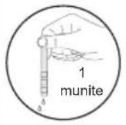 GRAM OM 6340-90 RT/1 - Test Strip - 4