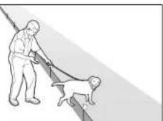 PETSAFE YardMax PIG00-15958 - Days 5-8 - 2