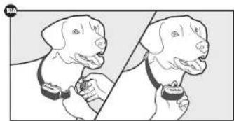 PETSAFE YardMax PIG00-15958 - Fit the Collar - 1